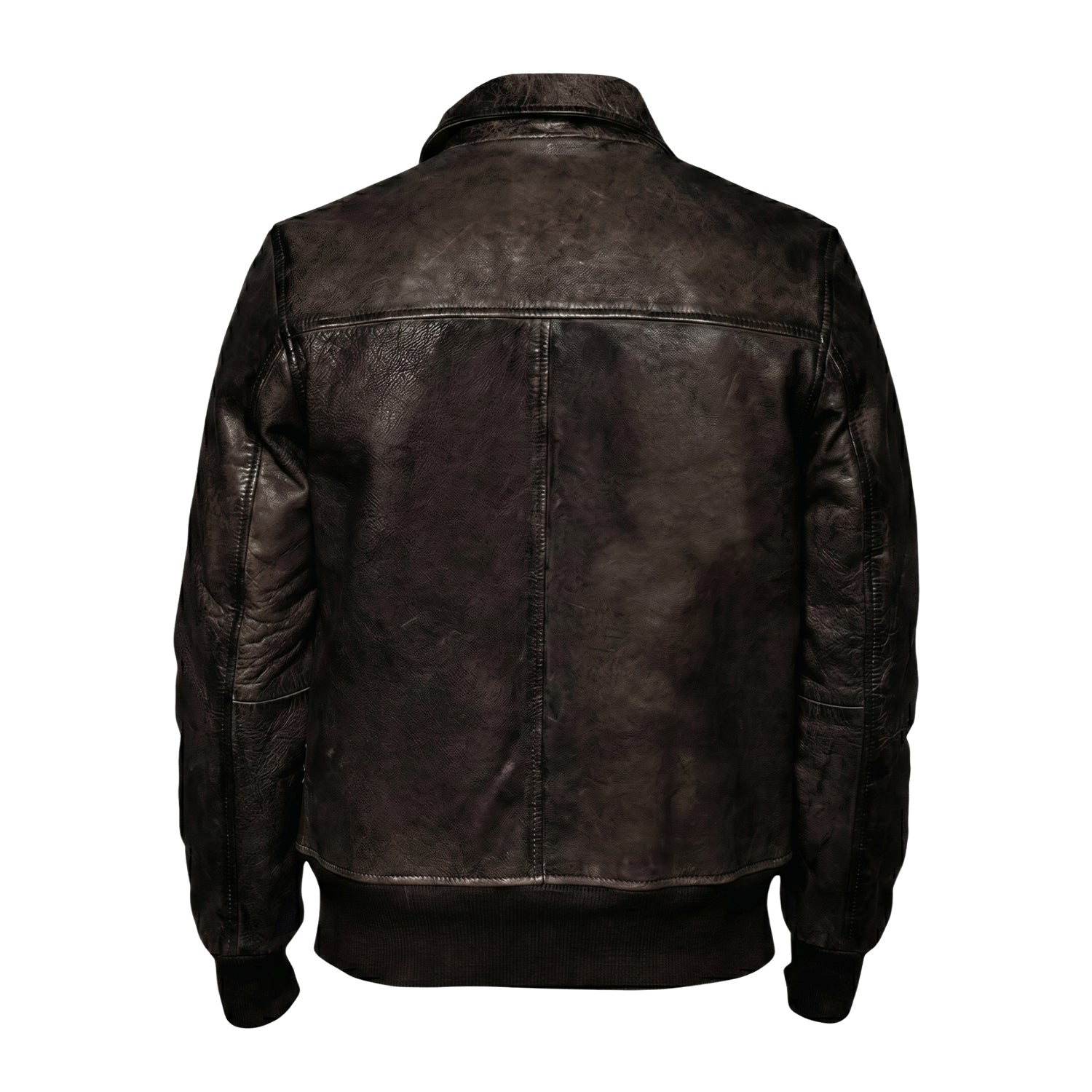 Men's Bomber Quilted Lining Premium Leather Jacket (Back)