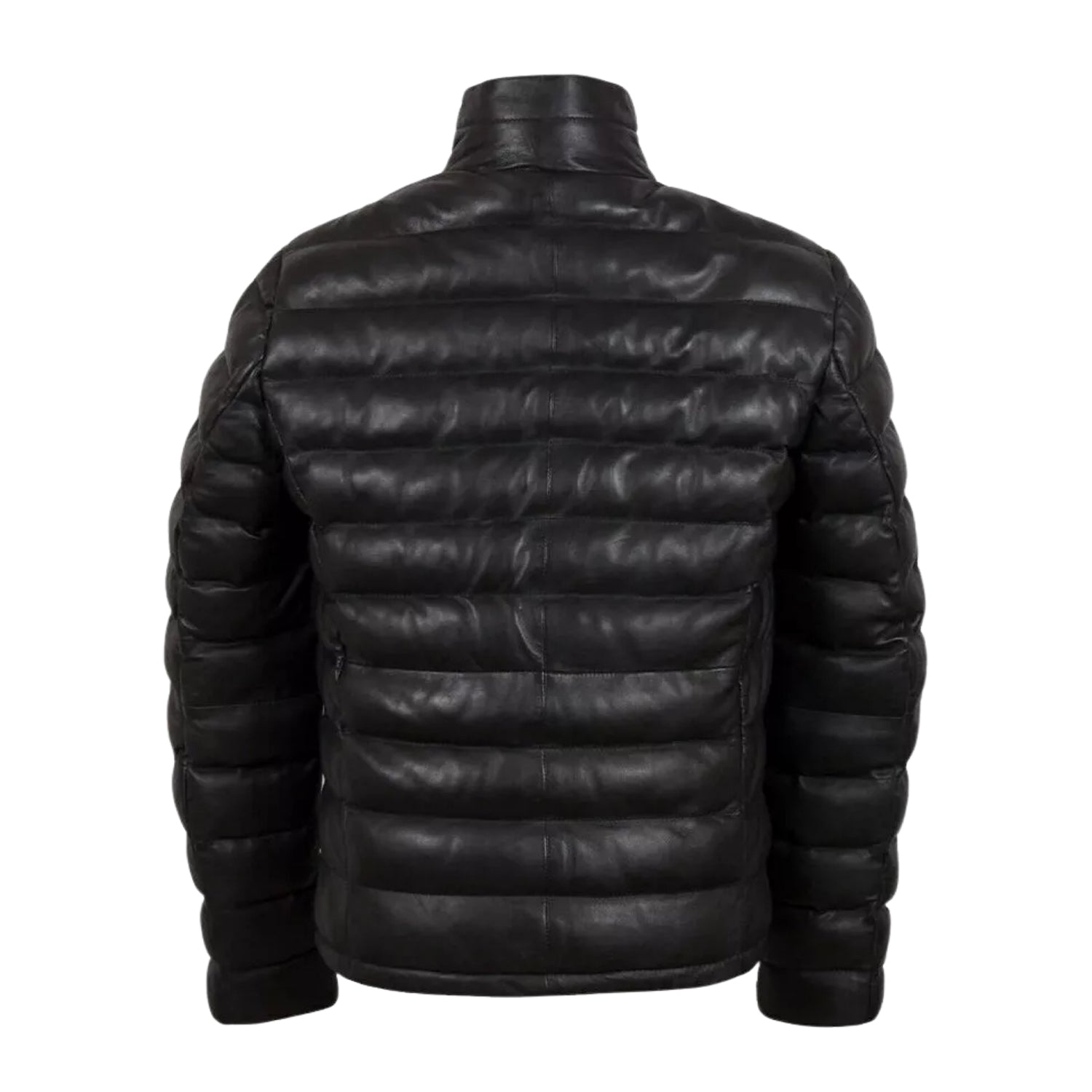 Men's Bomber Slim Fit Cut Puffer Jacket (Back)
